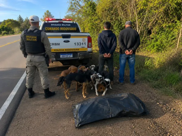 Dupla é detida por caça ilegal em abordagem na ERS-342 em Cruz Alta