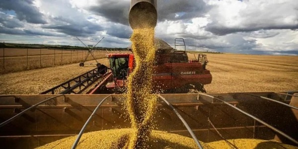 Safra Gaúcha Cresce 34,5% enquanto Produção Brasileira Cai, estima Conab