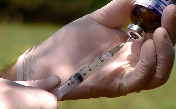 SMDR alerta produtores sobre vacinação contra Brucelose