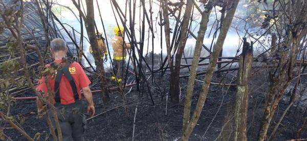 Corpo de Bombeiros combateu incêndio em vegetação no Bairro Tamoio