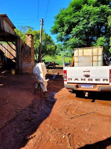 650 mil litros de água distribuídos com a estiagem se agravando em Cruz Alta