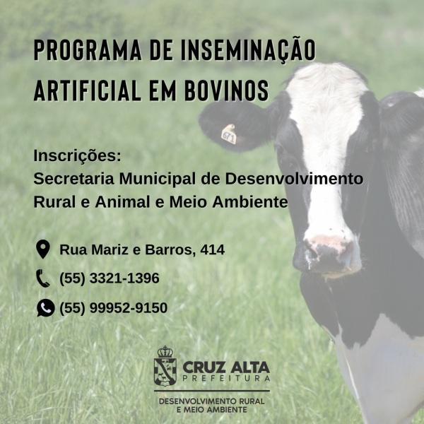 Programa de inseminação artificial de bovinos segue com inscrições abertas