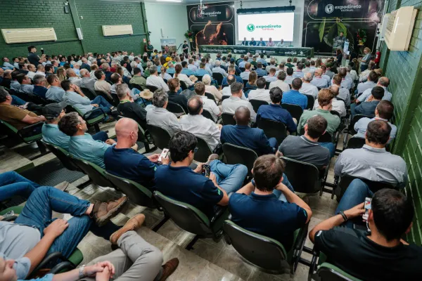 Soja no RS tem produtividade menor e biodiesel surge como alternativa