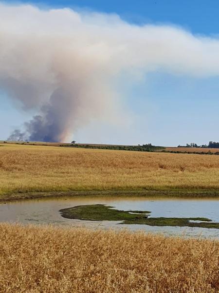 Incêndio de grandes proporções chama a atenção no final de semana em Cruz Alta