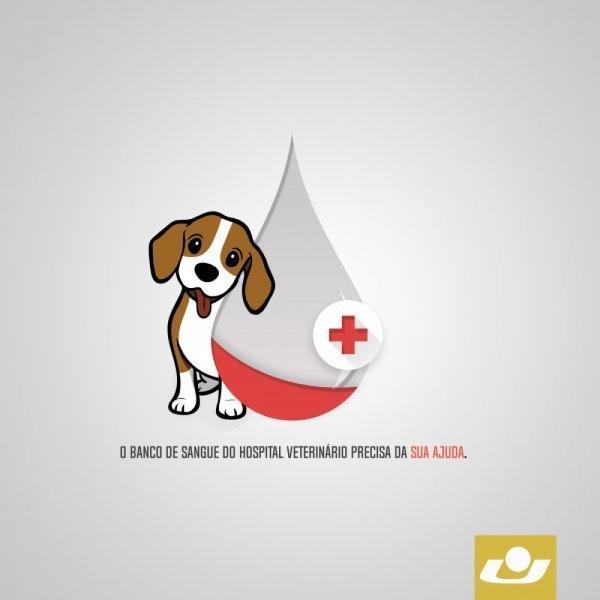 Banco de sangue do HV da Universidade de Cruz Alta precisa de doações