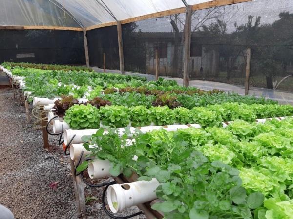 Agricultura familiar fornece produtos de qualidade para a alimentação escolar