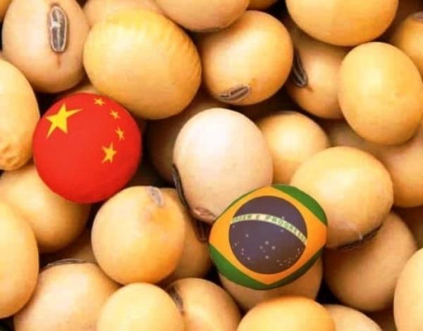 China: Importações de soja devem passar de 105 mi de t.