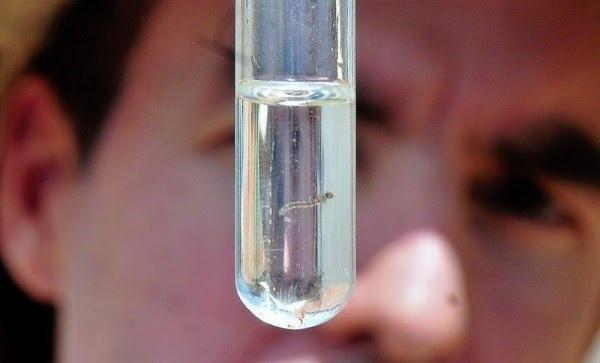 Sobe para 28 o número de mortes por dengue no RS