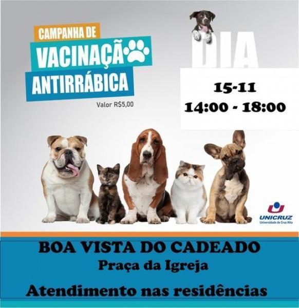 Boa Vista do Cadeado tem campanha de vacinação antirrábica nesta terça-feira
