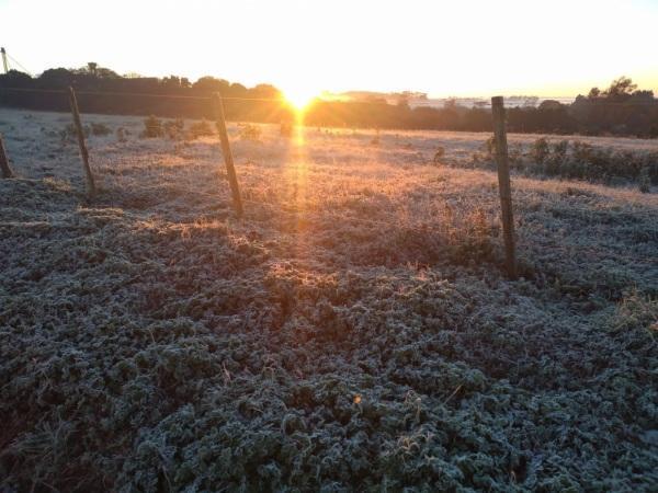 Temperatura negativa e geada nesta madrugada em Cruz Alta