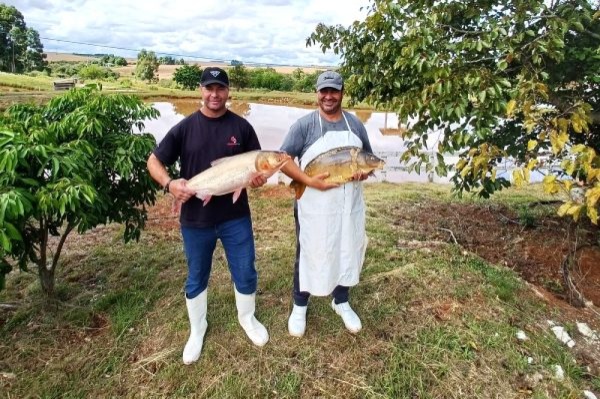 Venda de pescado na Semana Santa no RS deve passar de 2,5 mil toneladas