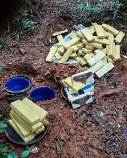 Polícia Civil apreende mais de 64 quilos de drogas enterrados em Ijuí 