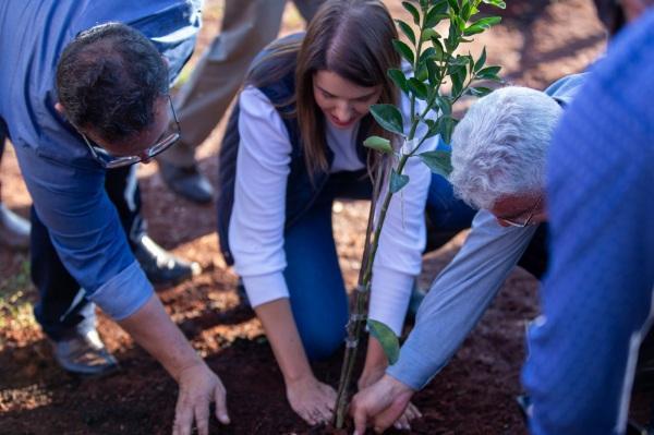 Prefeitura lança projeto Pomar do Bem