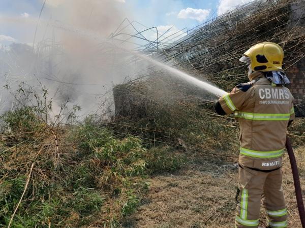 Fogo em taquareiras assusta moradores da Borges do Canto em Cruz Alta