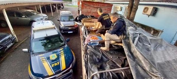 PRF e PF apreendem 5 toneladas de camarão contrabandeado em Passo Fundo