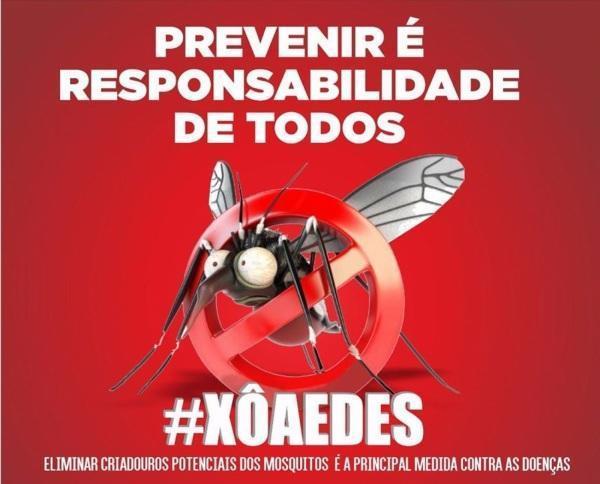 Cruz Alta registrou novos casos autóctones de Dengue e Chikungunya