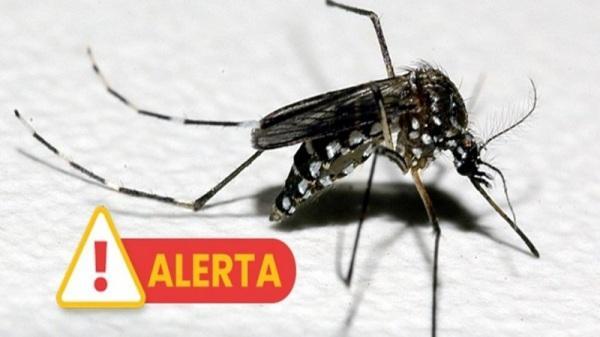 DENGUE: Mais cinco óbitos no estado, dois em Santa Rosa e 78 mortes em 2024