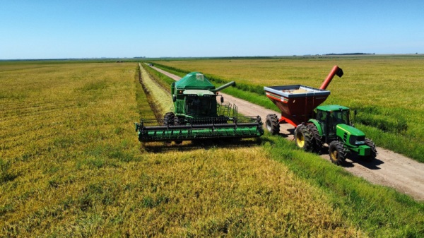 AGRO> Colheita de arroz encerra no RS com 7,16 milhões de toneladas do grão