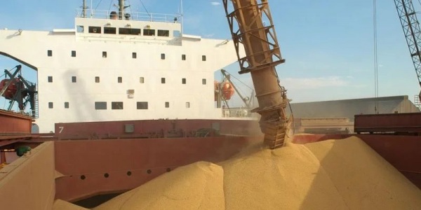ECONOMIA> Exportações do agro gaúcho terminam semestre em queda
