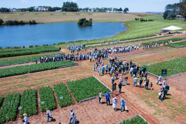 17 e 18> Evento da CCGL deve atrair dois mil produtores em dezembro