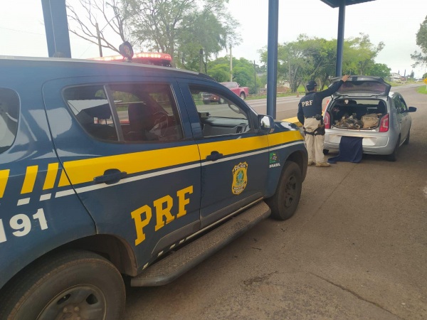 PRF prende dois homens transportando 183 kg de maconha na BR-158, em Cruz Alta