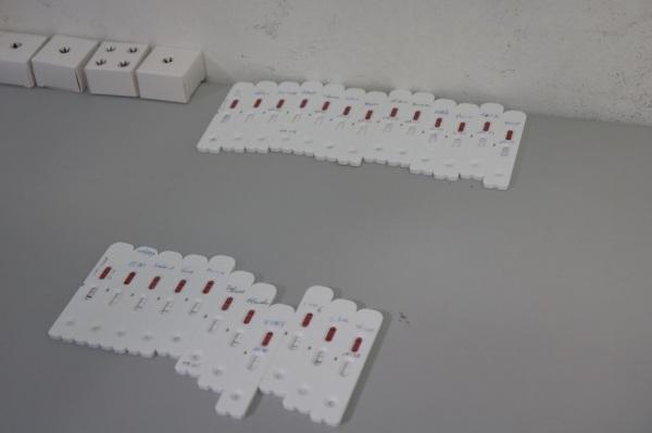 Testagem covid-19 será descentralizada a partir de hoje, quinta dia 19