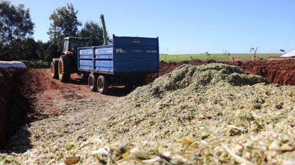 Patrulha Agrícola:  o fortalecimento da agricultura familiar em Cruz Alta