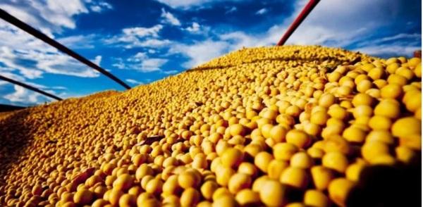 AGRONEGÓCIO> Conab reafirma previsão de safra recorde de grãos no RS