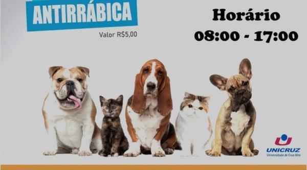 Panambi tem campanha de vacinação antirrábica neste sábado