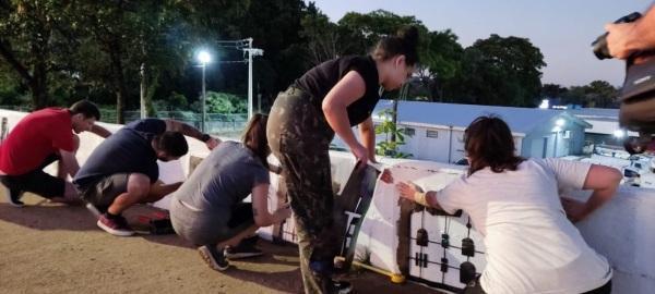 Pintura das muretas do viaduto da Lomba é finalizada 