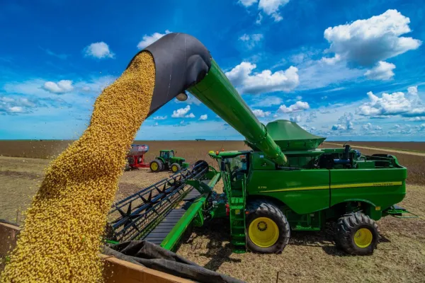 Produção de soja no estado deve chegar a 18,9 milhões de toneladas, diz Conab