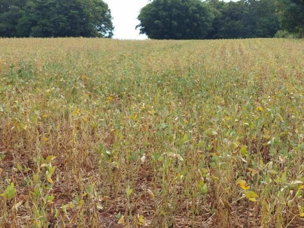 PIB do RS cai 3,5% no segundo trimestre