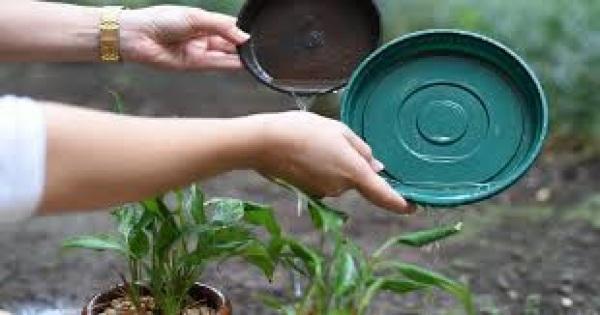 Prefeitura de Cruz Alta alerta para cuidados sobre a Dengue na Primavera