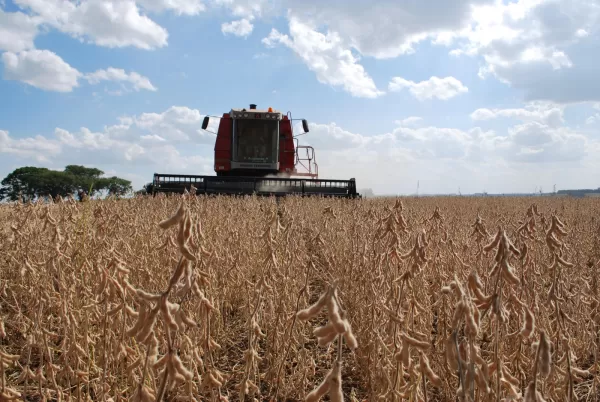 RS> Safra de grãos deve alcançar 38,9 milhões de toneladas em 25/26 diz Conab