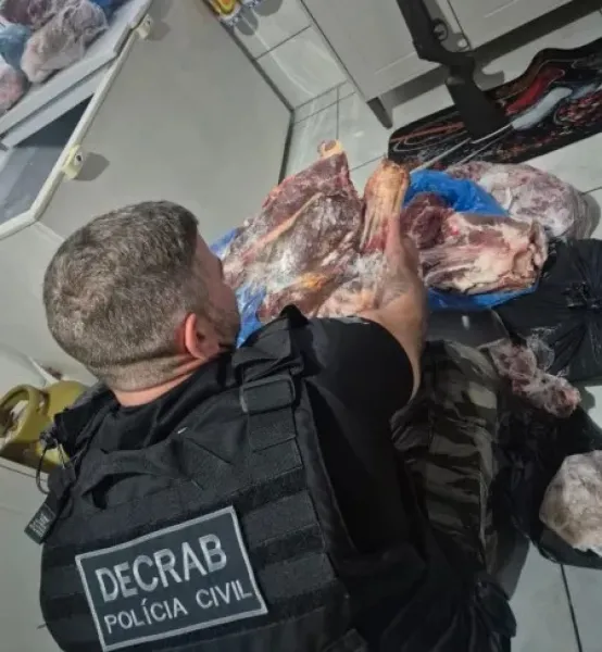 DECRAB de Cruz Alta combate abigeato e detém suspeito em Panambi