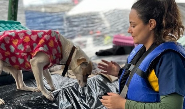 Governo Federal contribuirá com recursos no resgate e cuidado de pets no RS