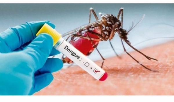Primavera alerta sobre cuidados com a Dengue