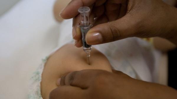 RS distribui novo lote de vacina pentavalente para os municípios