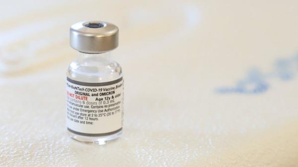 COVID: Cruz Alta começa a aplicar vacina bivalente em idosos acima de 70 anos
