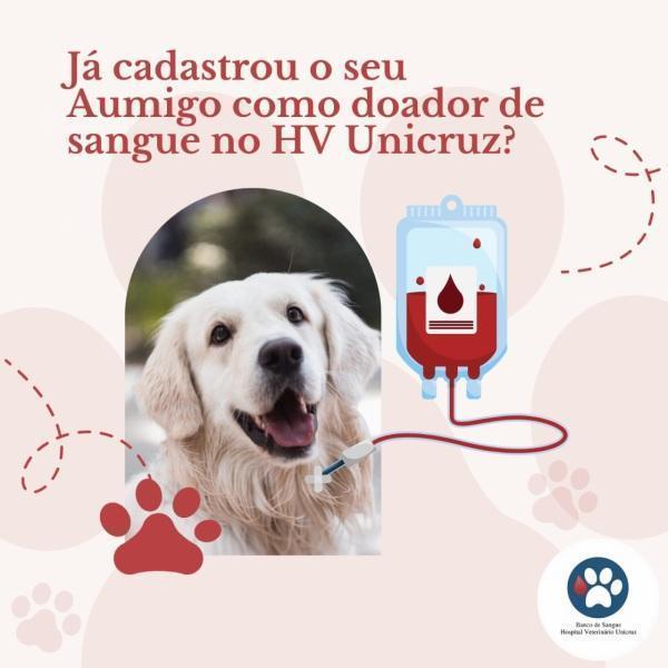 Banco de Sangue do Hospital Veterinário da Unicruz está precisando de doações