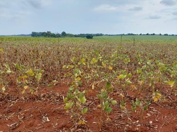 PIB gaúcho cai 3,8% no primeiro trimestre de 2022