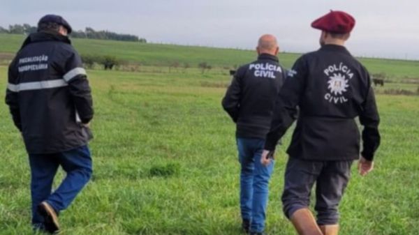 DECRAB>Polícia Civil de Cruz Alta e Bagé apreende 67 bovinos em operação rural