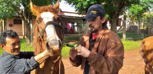 SMDR realizou diversos atendimentos veterinários no decorrer da semana