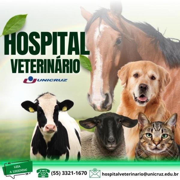 Hospital Veterinário da Unicruz atende em turno único até sexta-feira