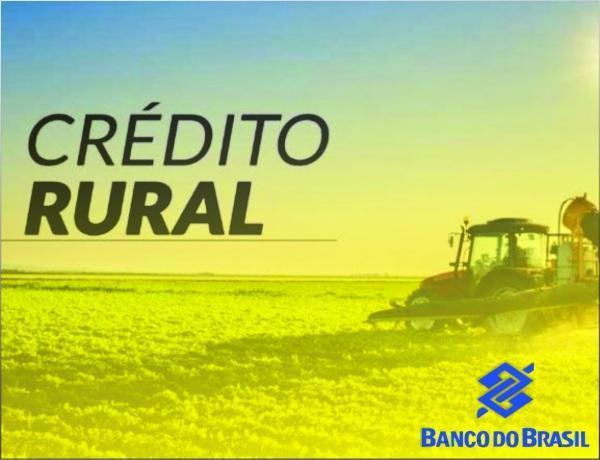 Crédito rural: BB faz circuito virtual para ofertar crédito.