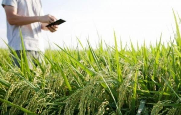 Sindicato Rural e Senar-RS ofertarão 26 cursos em julho; confira