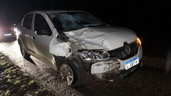 MAIS UM COM CAVALO>Acidente na BR-158 envolve carro e cavalo em Cruz Alta
