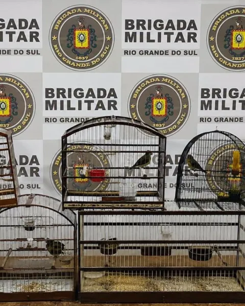 Brigada Militar resgata pássaros silvestres mantidos em cativeiro em Cruz Alta