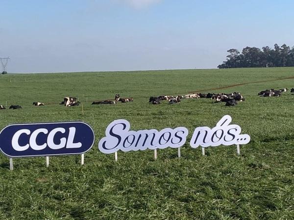X Dia de Campo da CCGL acontece hoje em Cruz Alta