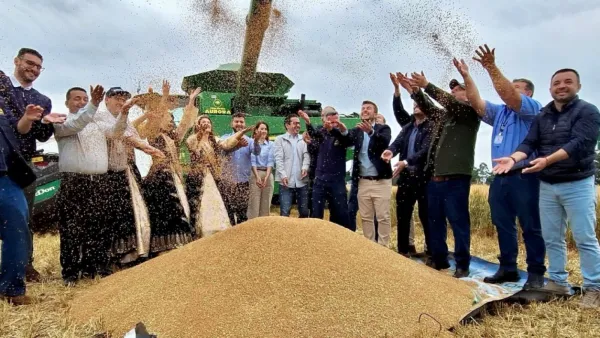 Cruz Alta recebe abertura oficial da colheita do trigo no Rio Grande do Sul